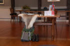 Der Tisch der Vorlesenden ist bereit und wir sind gespannt.
