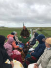 Rundfahrt auf der Hallig